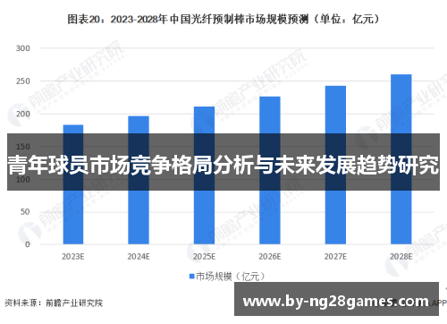 青年球员市场竞争格局分析与未来发展趋势研究